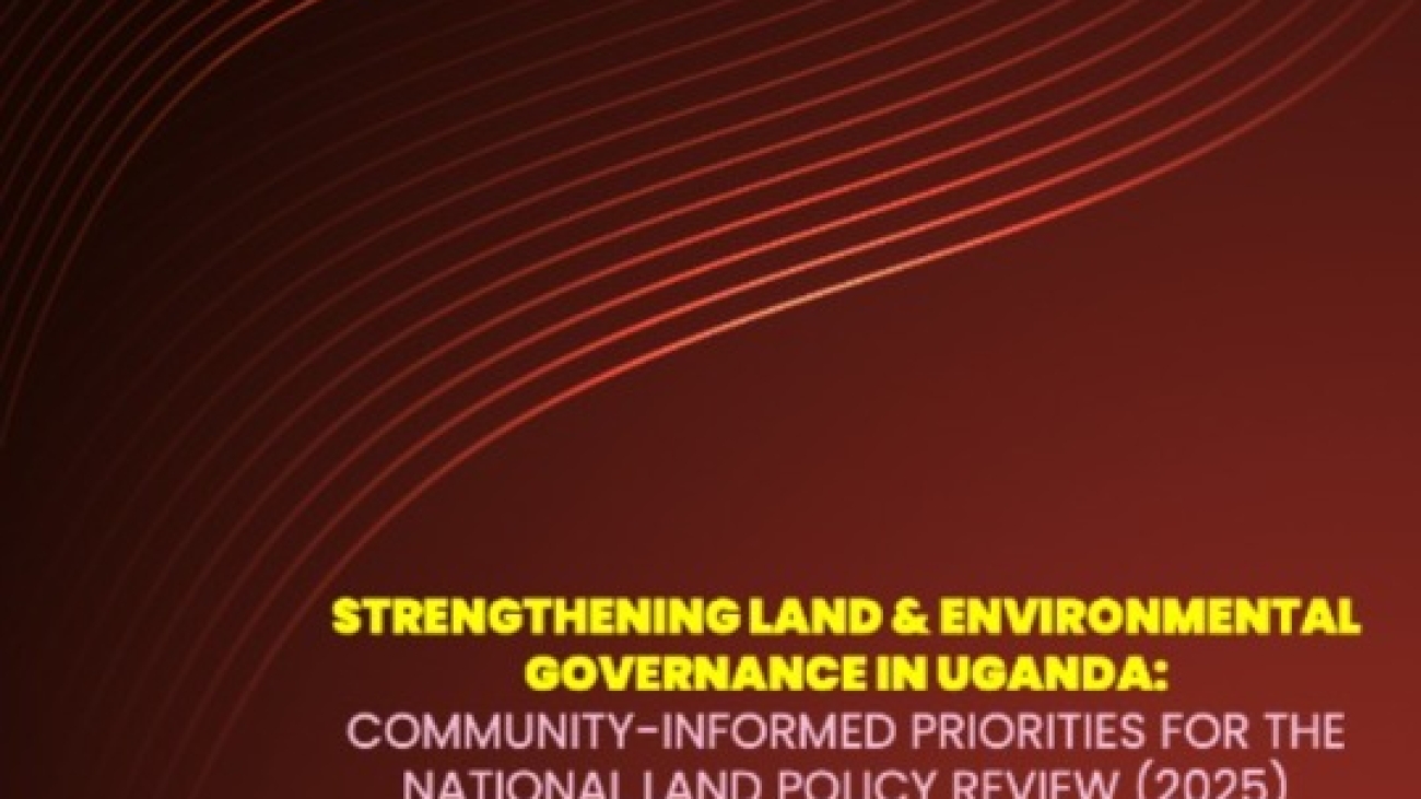 WhatsApp Image 2025-11-26 at 11.36.49