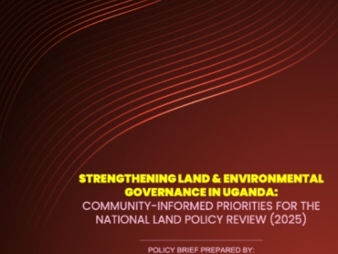 WhatsApp Image 2025-11-26 at 11.36.49